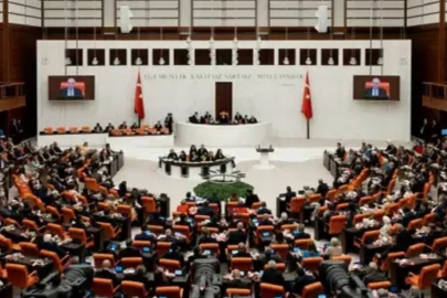 Meclis'te beyaz et tartışması: Çömez'den iktidara 'kırmızı et baronları' tepkisi
