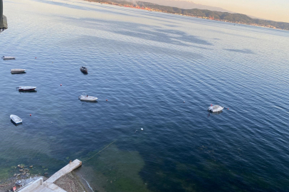 Müsilajın ardından Bursa Gemlik Körfezi'nde sevindiren görüntüler!