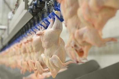 Rekabet soruşturması genişliyor iddiası! Kırmızı et ve market zincirleri gündemde...
