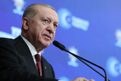 Sokak röportajında Erdoğan'a hakaret eden kadına ev hapsi cezası