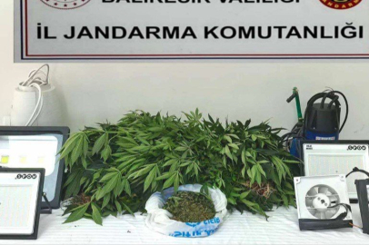 Balıkesir'de 9 ilçede zehir tacirlerine darbe