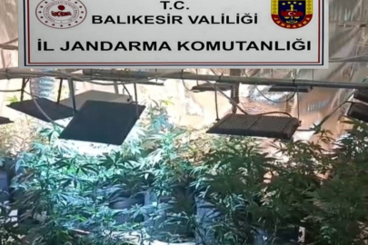 Balıkesir’de jandarmadan uyuşturucu serasına çevrilen evlere baskın: 12 gözaltı