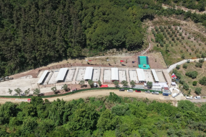 Bursa'ya yeni köpek barınağı!&nbsp;16 dönümlük arazi...