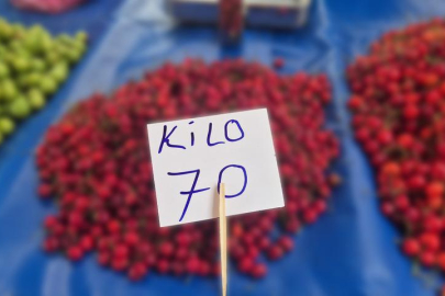 Festivalde 300 TL'ye satılıyordu: Fiyatı 70 TL'ye düştü!