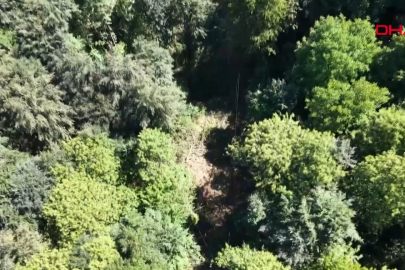 Bursa'da ata mesleğini kurdukları 'orman telesiyeji' ile sürdürüyorlar! 137 yıllık...