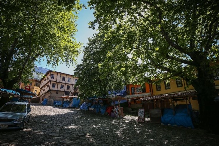 Bursa'daki tarihi Osmanlı köyünü ilgilendiren önemli gelişme!