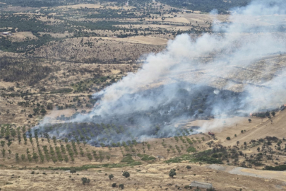 Çanakkale'de orman yangını! İtfaiye ekipleri müdahale etti
