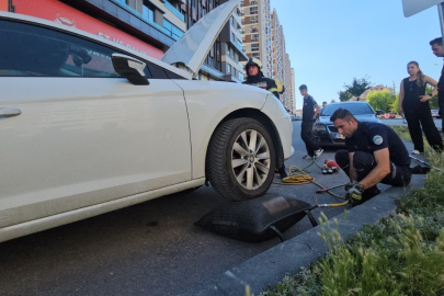 Kayseri'de "arabada yılan" ihbarı ortalığı karıştırdı