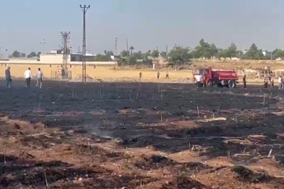 Şanlıurfa'da çıkan yangında 60 dönüm buğday ekili alan zarar gördü