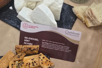 Siirt’in geleneksel peynirleri Bursa'da tanıtıldı