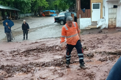 Artvin'de sağanak sonrası dereler taştı