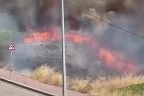 Kocaeli Darıca'da arazide korkutan yangın