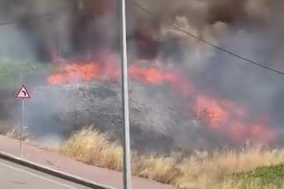 Kocaeli Darıca'da arazide korkutan yangın