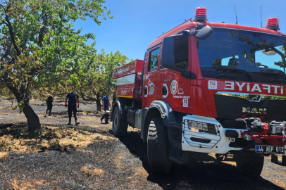 Malatya'da bahçe ve orman yangını