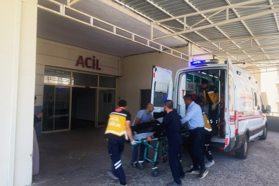 Mercimek hasadında çalışan işçiler hastanelik oldu