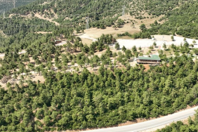 Bursa'da Gürsu Mesire alanı yeniden açılıyor