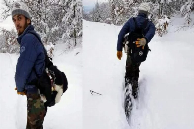 Hasta köpeğini 7 kilometre sırtında taşıdı