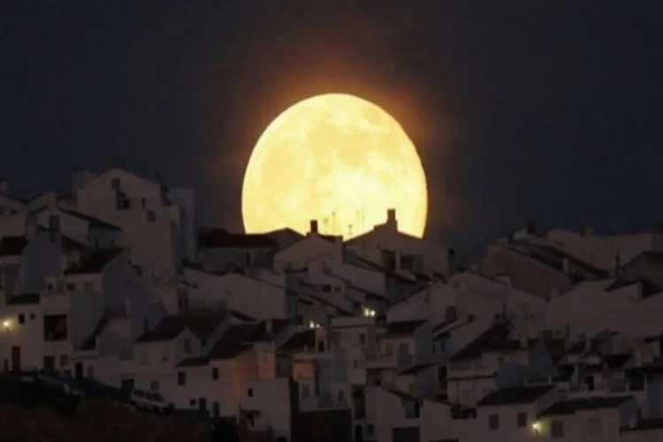 31 Ocak'ta Ay'a bakmayı unutmayın