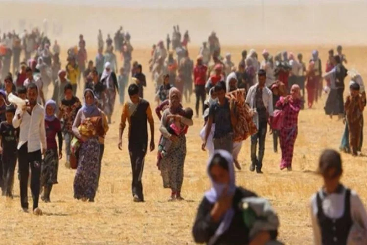 İdlib'den Türkiye sınırına göç