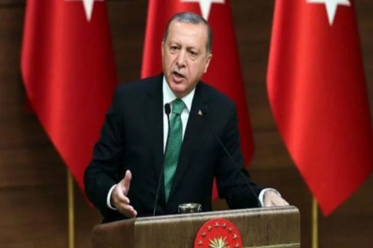 Erdoğan: Zeytin Dalı harekatında şimdiyi kadar 800 terörist öldürüldü
