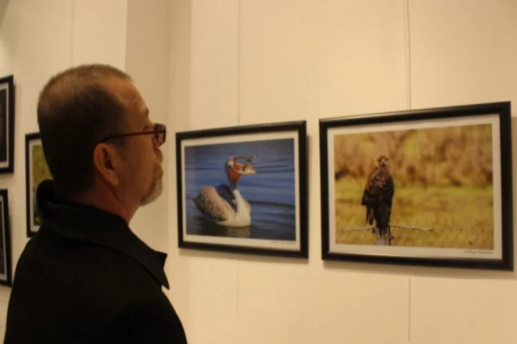 Bursa'da nadir bulunan kuşları vatandaşa gösteren sergi
