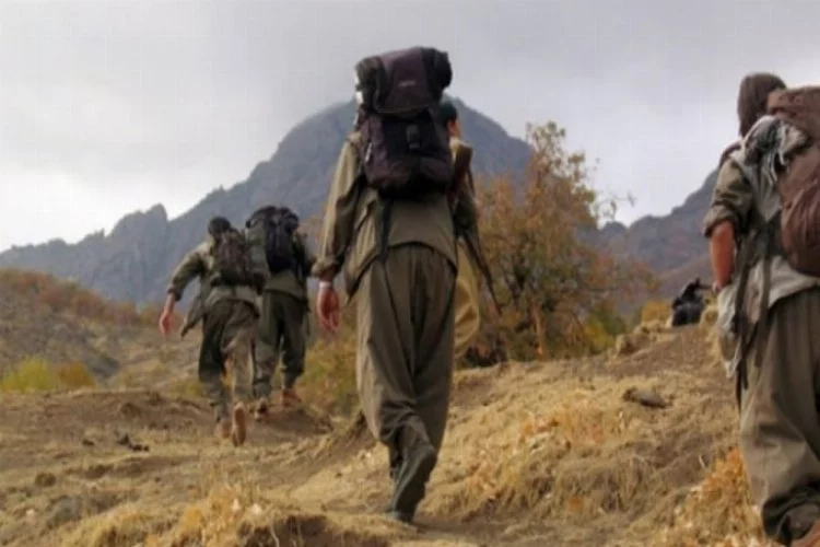 PKK, Afrin'den kaçan sözde 2 komutanını infaz etti