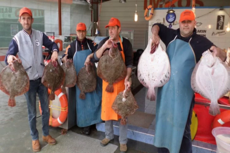 Bursa'da balık fiyatları yükseldi