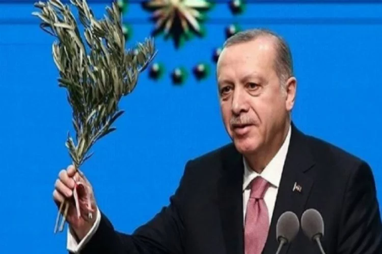 Erdoğan: Afrin'e vali atanacak