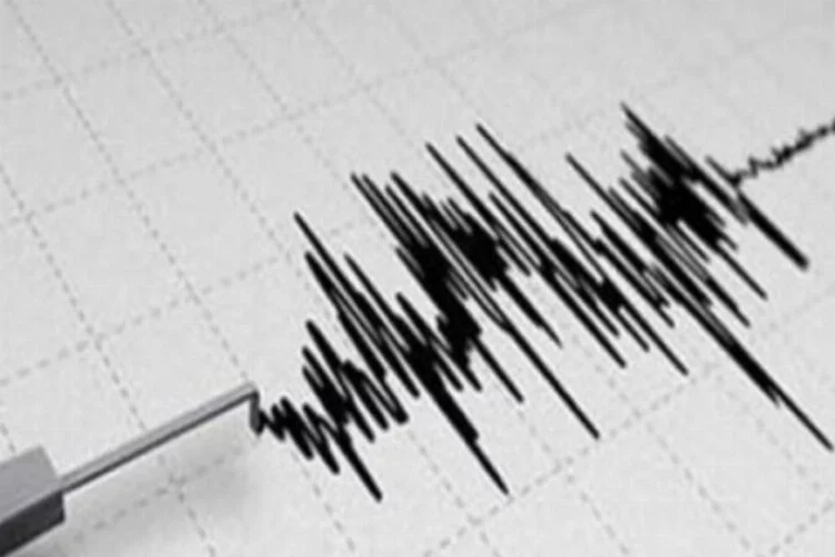 ABD'de şiddetli deprem