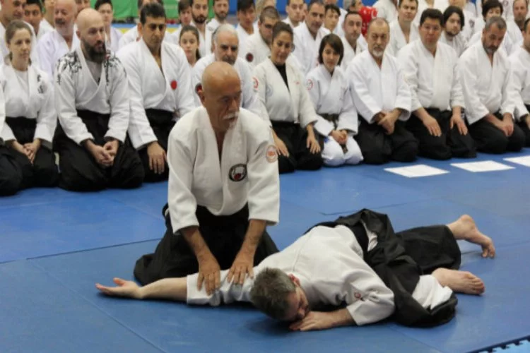 Bursa'da aikido şöleni