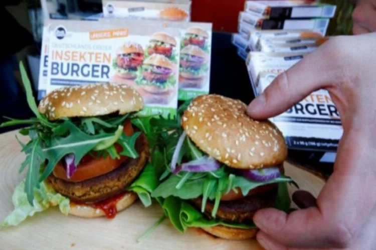 Türk girişimci Avrupa'ya 'böcek burger' yediriyor