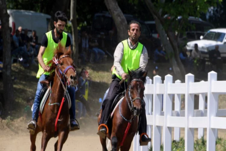 Bursa'da Rahvan Atları Fetih Şenlikleri için koştu