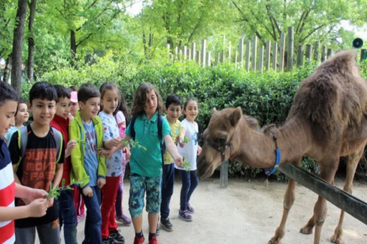 Bursa Zoopark'ın yeni üyeleri