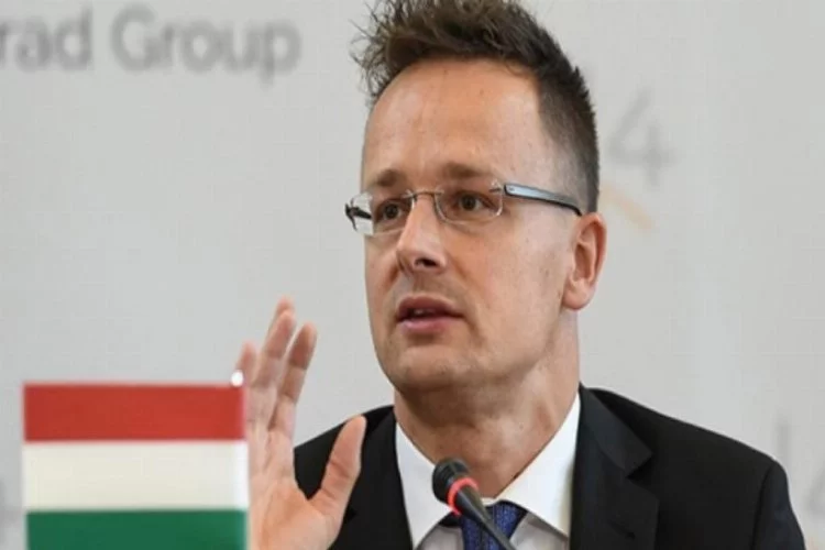 Macaristan'dan Avusturya'ya sert eleştiri