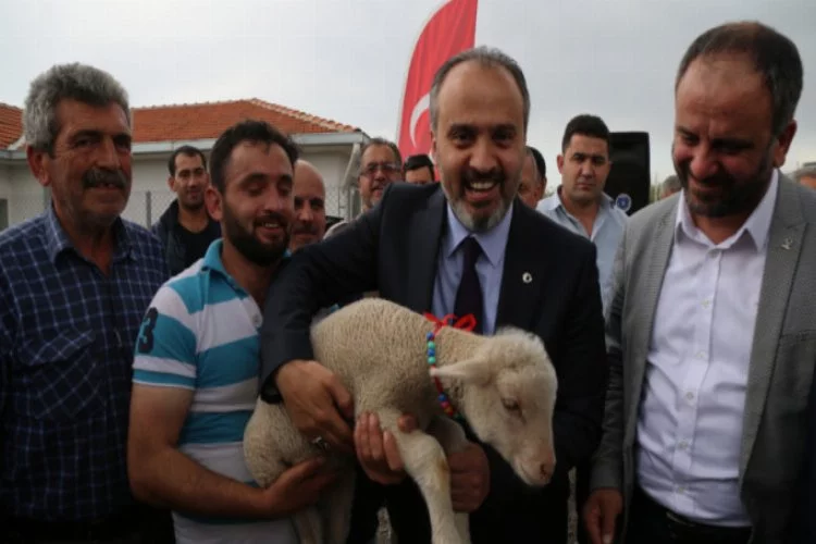 Bursa'da koyun yetiştiricisine dev destek!