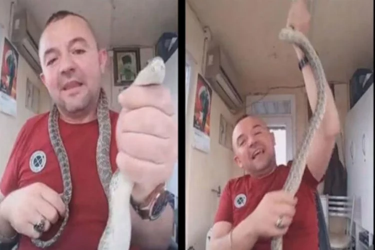 Yakaladığı yılanla sosyal medyada şov yaptı