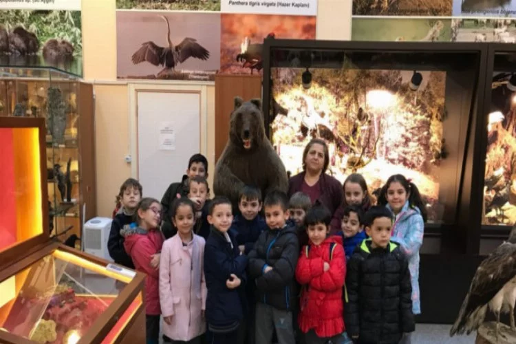 Bursa'da öğrenciler müzedeki hayvanları canlı sandı