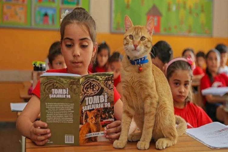 Kedi Tombi, kitap kahramanı oldu