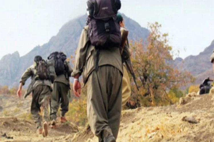PKK'ya ağır darbe! Sözde bölge sorumluları etkisiz hale getirildi
