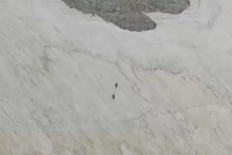 Uludağ'ın zirvesinde yürüyüş yapan dağcılara büyük sürpriz