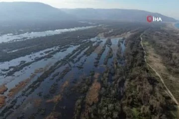 Bursa Karacabey longoz ormanları suyla buluşmaya başladı