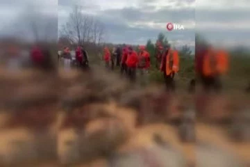 Bursa'da ekinlere zarar veren 33 domuz bir günde vuruldu