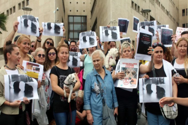 Bursa'da hayvanlara yönelik işkence ve ölümlere protesto