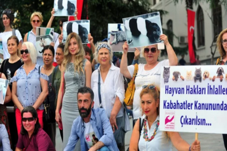 Bursa'da hayvanlara şiddete tepki