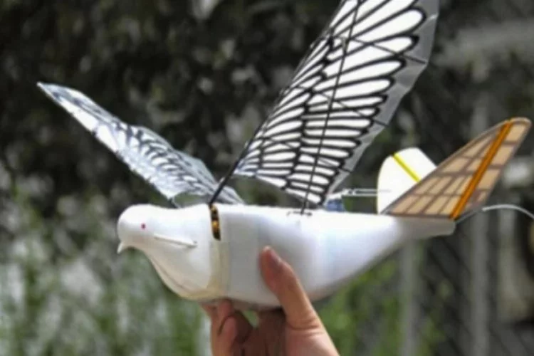 Gözetleme amaçlı robot kuşlar üretildi!