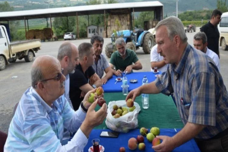 Bursa'da doludan zarar gören çiftçilere destek