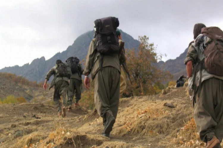 PKK'nın sözde "Kato bölge sorumlusu" etkisiz hale getirildi
