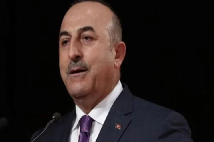 Yeni kabinedeki Dışişleri Bakanı Mevlüt Çavuşoğlu kimdir?