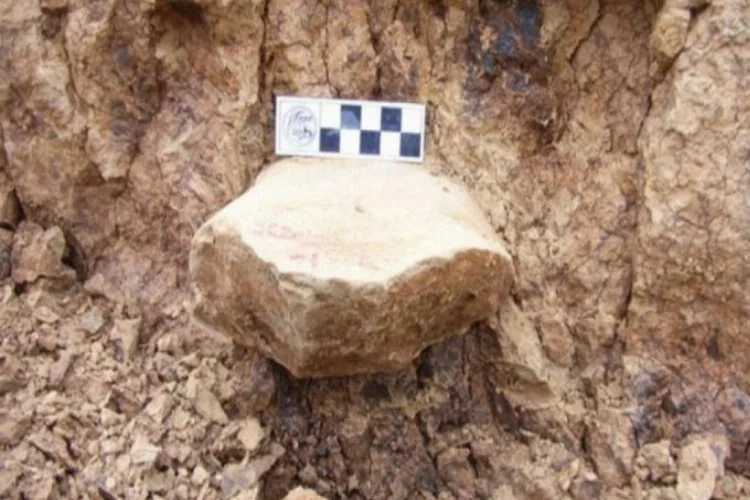 Afrika dışında  bulunan bilinen en eski insan kalıntısı bir çok soruyu beraberinde getirdi!