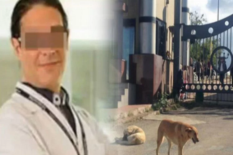 Tıp profesörü köpeği katletti! Karar hayvanseverleri çileden çıkardı